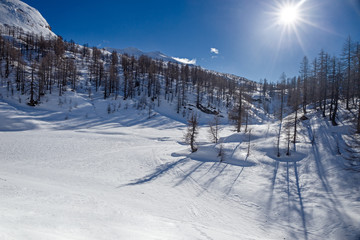 Panoramic view of the sunny snow-covered landscape of the Alpe Sangiatto above the Alpe Devero in Piedmont, Italy.