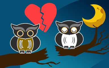 Owls after an argument at night