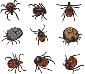 mite, image variants in various forms, color, black