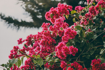 Nathalia Lovati Fotografia | www.nathalialovati.com.br