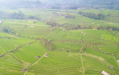 Fototapeta na wymiar Paddy hill with aerial view at Jatiluweh, Bali, Indonesia.