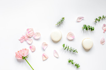 spring pattern with macaroons and flower in soft light top view