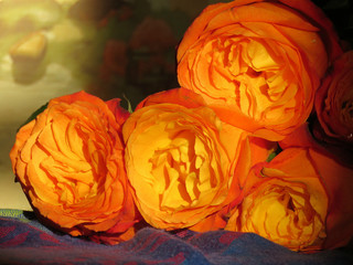оранжевые розы