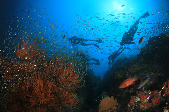 Scuba dive over coral reef 