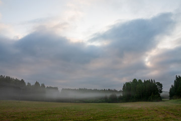 Grassland field landscape at foggy morning