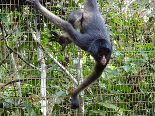 Ecuador 2018