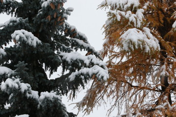 montagna