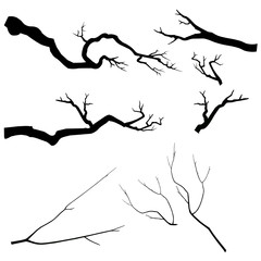 Vector black silhouette of branches