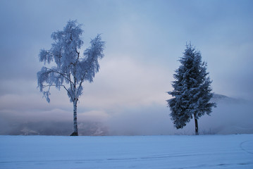 inverno