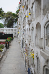 Fototapeta na wymiar A graveyard in Lima, Peru