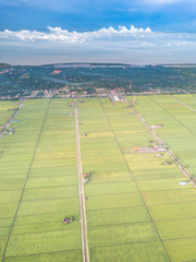 Obraz premium Paddy field with aerial view.