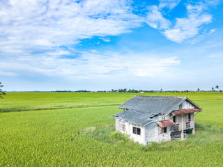 Obraz premium Paddy field with aerial view.