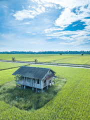 Obraz na płótnie Canvas Paddy field with aerial view.