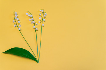 Lilies of the valley flowers on bright yellow paper background. Beautiful spring composition in...