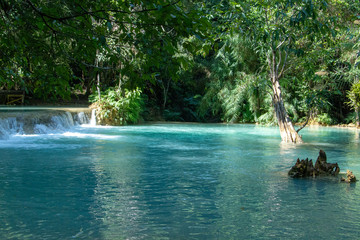swimming pool in tropical resort