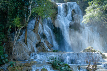 waterfall in the forest