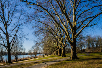 Rheinpromenade Bonn-Beuel