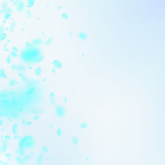 Turquoise flower petals falling down. Beauteous ro