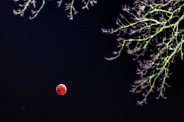 Der Blutmond über Blankenberg in Hennef