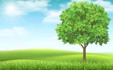 Plakat Tree on country spring landscape background. Green meadow and blue sky. Natural landscape with a calm beautiful scene.