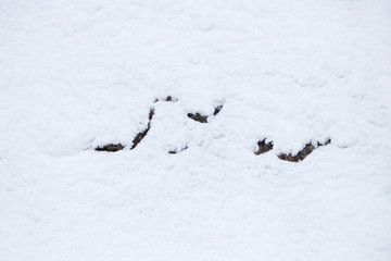 stone wall covered with snow after a snowfall. historical building. Gatchina Park. White background.
