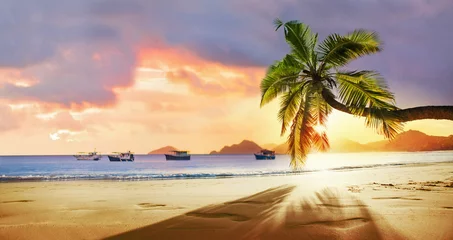 Papier Peint photo Lavable Plage tropicale Palmier tropical au soleil. Île paradisiaque dans l& 39 océan