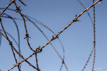 Sea and barbed wire