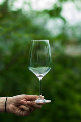  empty wine glass on a background of green trees