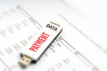 Obraz premium Pendrive financial concept.