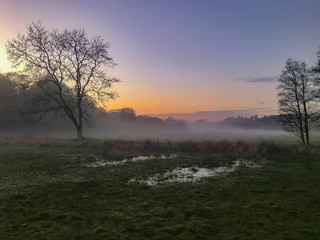 Fototapeta na wymiar Sunset water meadow misty