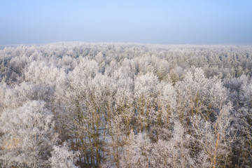 Rime and hoarfrost covering trees. Aerial view of the snow-covered forest and lake from above. Winter scenery. Landscape photo captured with drone.