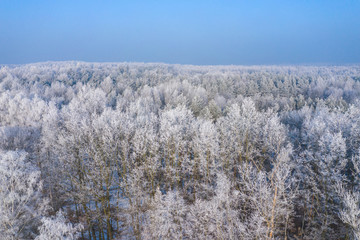Rime and hoarfrost covering trees. Aerial view of the snow-covered forest and lake from above. Winter scenery. Landscape photo captured with drone.