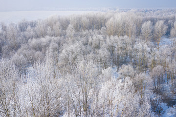 Rime and hoarfrost covering trees. Aerial view of the snow-covered forest and lake from above. Winter scenery. Landscape photo captured with drone.