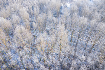 Obraz na płótnie Canvas Rime and hoarfrost covering trees. Aerial view of the snow-covered forest and lake from above. Winter scenery. Landscape photo captured with drone.