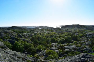 Fototapeta na wymiar Overlooking cliffs in Bohuslän Sweden