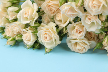 A bouquet of beautiful tender mini roses close-up on a bright blue background. holidays. presents