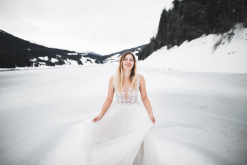 Fototapeta na wymiar Beautiful bride posing near rocks against background the mountains