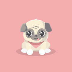 Cute puppy pug on pastel background.