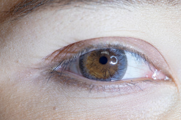 Close up of beautiful woman eye and contact lens. 