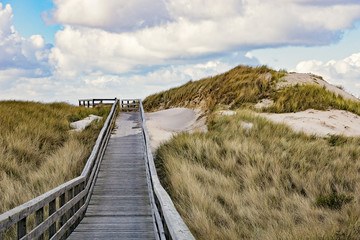 Wooden path to the sea - Sylt, Germany