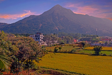 The holy mountain Arunachala, the oldest mountain in the world in Tamil Nadu India