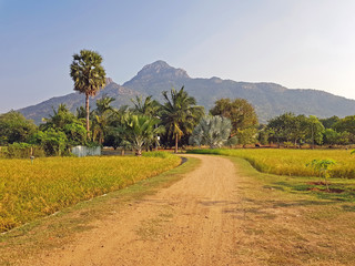 The holy mountain Arunachala, the oldest mountain in the world in Tamil Nadu India