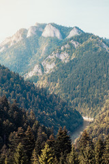 Mountain river valley landscape