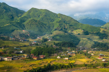 Fototapeta na wymiar Beautiful Panorama Top view of growing golden paddy rice field in Tavan local village with fansipan mountain and cloudy sky in background, Sapa, Laocai , Northwest of Vietnam