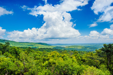 Fototapeta na wymiar beautiful blue sky and clouds with green forest , sakon nakhon in thailand