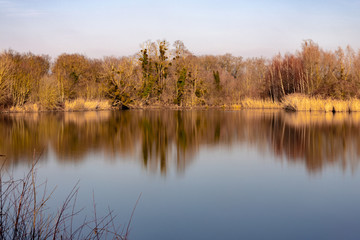 Fototapeta na wymiar lake in winter