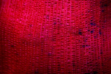 Banana flower texture
