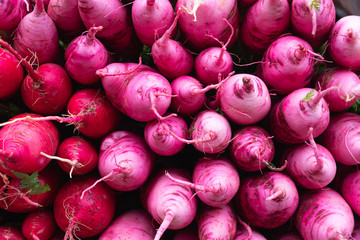 Organic pink radish pile with green stalk. Vegetable. Top view.