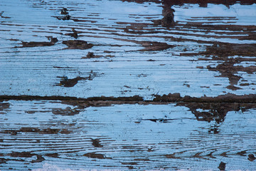 Wood texture - Image
