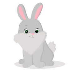 vector illustration rabbit, hare